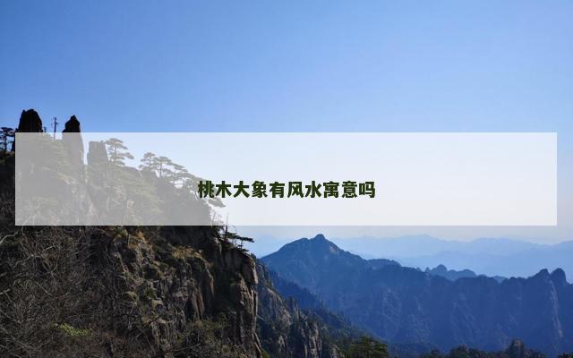 桃木大象有风水寓意吗