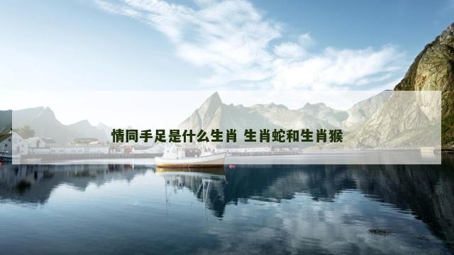 情同手足是什么生肖 生肖蛇和生肖猴