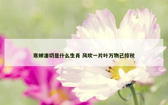 寒蝉凄切是什么生肖 风吹一片叶万物已惊秋