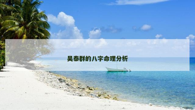 吴泰群的八字命理分析