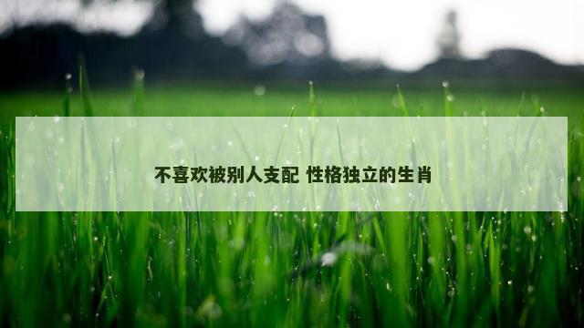 不喜欢被别人支配 性格独立的生肖