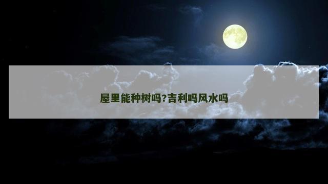 屋里能种树吗?吉利吗风水吗