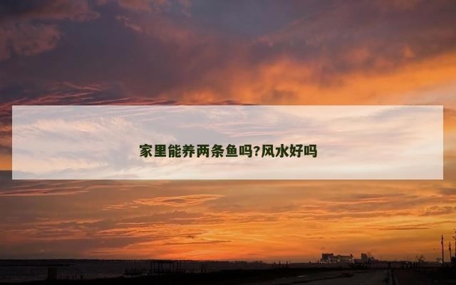 家里能养两条鱼吗?风水好吗