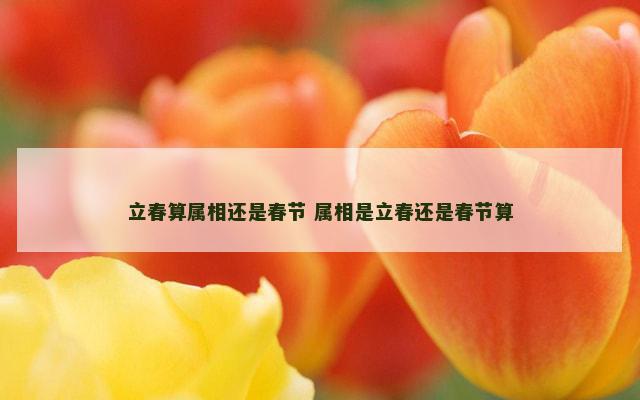 立春算属相还是春节 属相是立春还是春节算