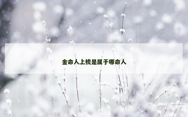 金命人上梳是属于哪命人