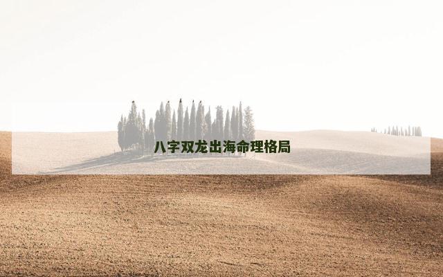 八字双龙出海命理格局
