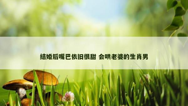 结婚后嘴巴依旧很甜 会哄老婆的生肖男
