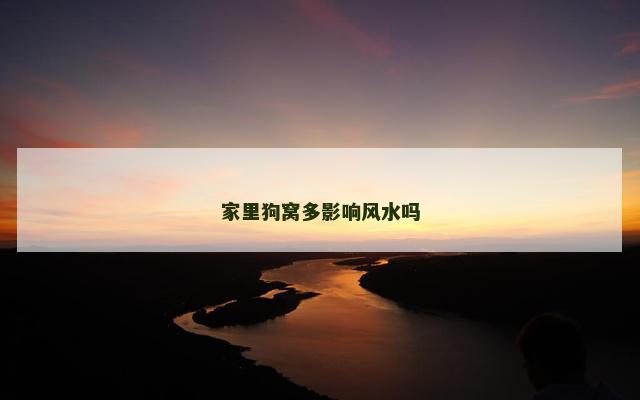 家里狗窝多影响风水吗