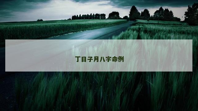 丁日子月八字命例