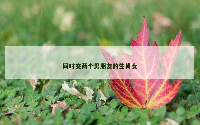 同时交两个男朋友的生肖女