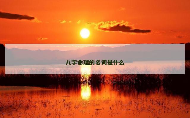 八字命理的名词是什么