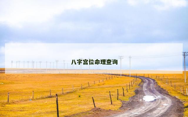 八字宫位命理查询
