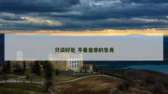 只谈好处 不看是非的生肖
