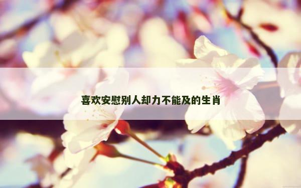 喜欢安慰别人却力不能及的生肖