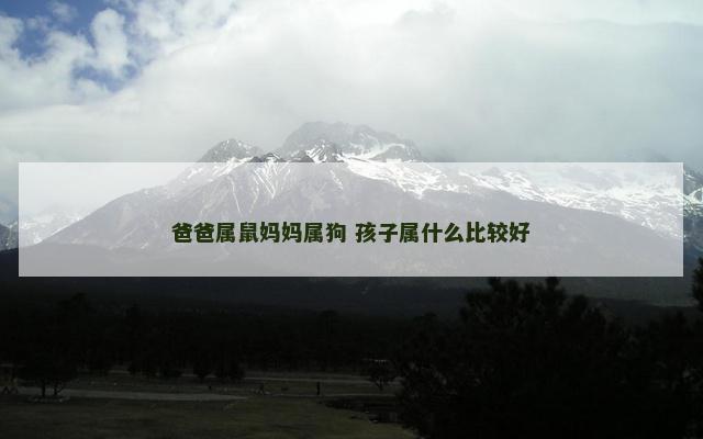 爸爸属鼠妈妈属狗 孩子属什么比较好