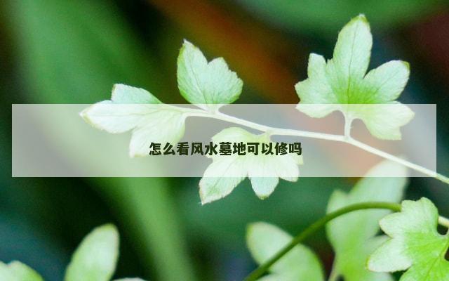 怎么看风水墓地可以修吗