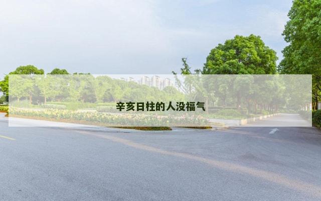 辛亥日柱的人没福气