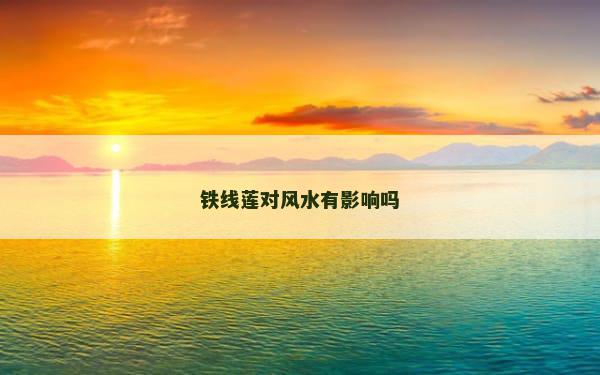 铁线莲对风水有影响吗