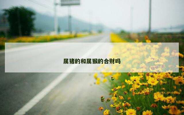 属猪的和属猴的合财吗