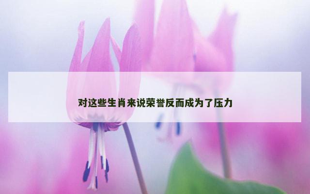对这些生肖来说荣誉反而成为了压力