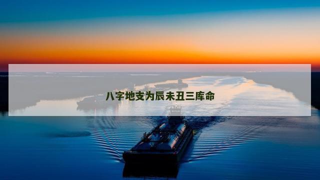 八字地支为辰未丑三库命