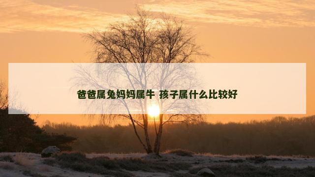 爸爸属兔妈妈属牛 孩子属什么比较好