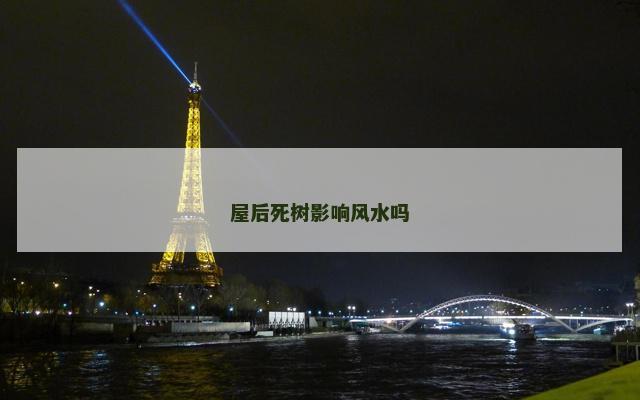 屋后死树影响风水吗