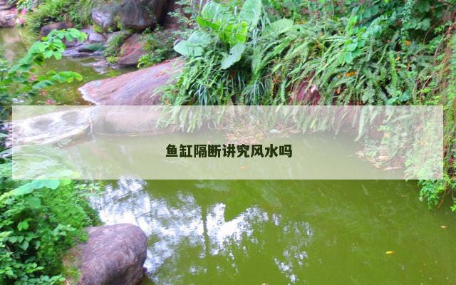 鱼缸隔断讲究风水吗