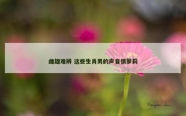 雌雄难辨 这些生肖男的声音很萝莉