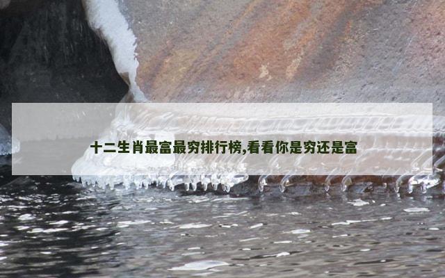 十二生肖最富最穷排行榜,看看你是穷还是富