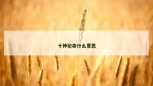 十神论命什么意思