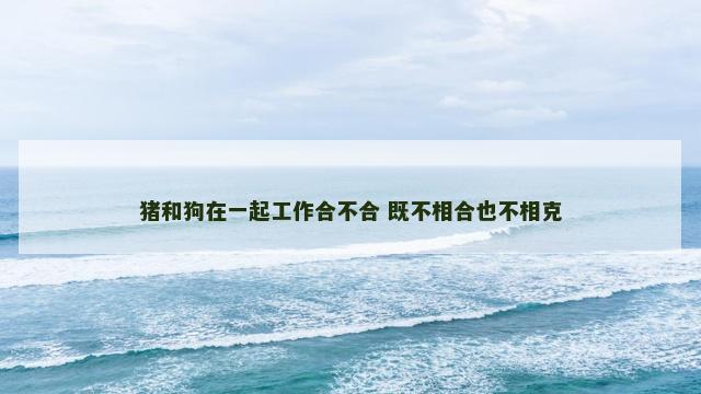 猪和狗在一起工作合不合 既不相合也不相克