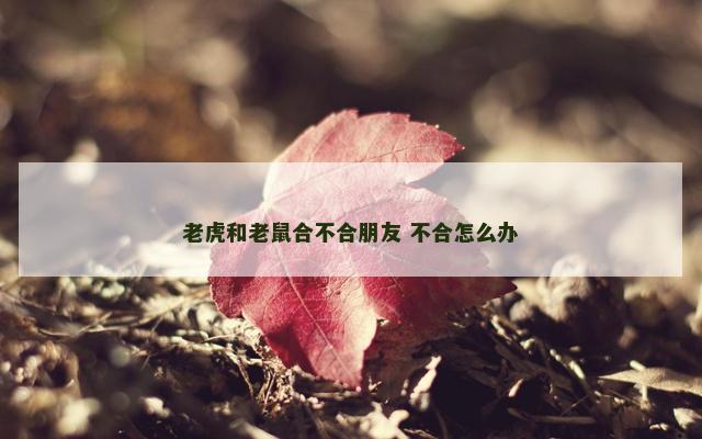 老虎和老鼠合不合朋友 不合怎么办