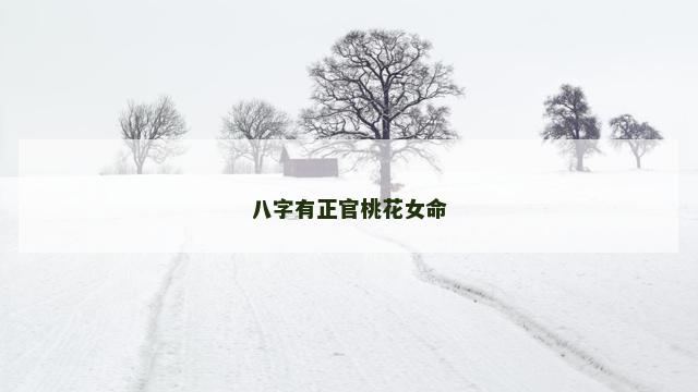 八字有正官桃花女命