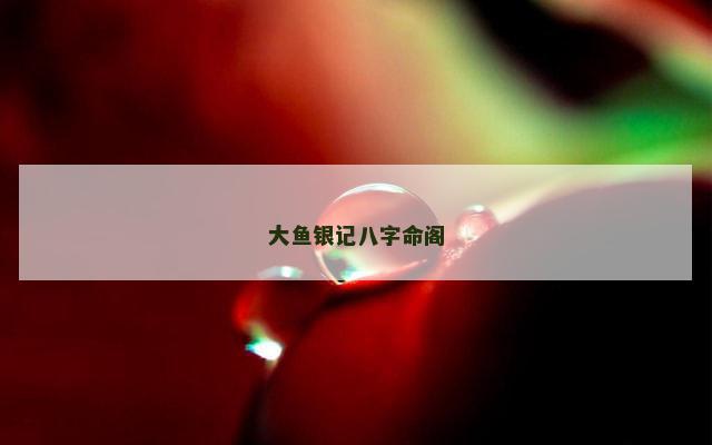 大鱼银记八字命阁