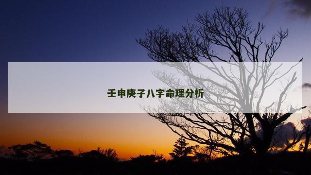 壬申庚子八字命理分析