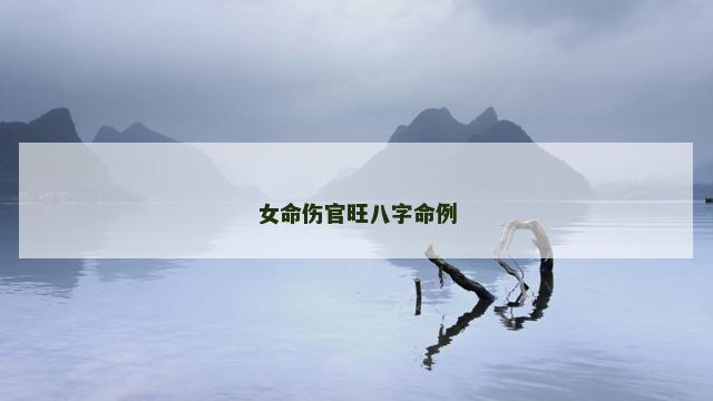 女命伤官旺八字命例