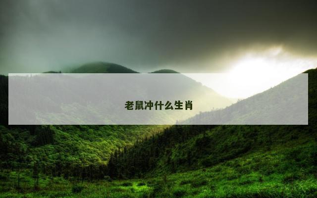 老鼠冲什么生肖