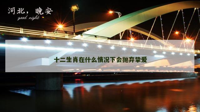 十二生肖在什么情况下会抛弃挚爱