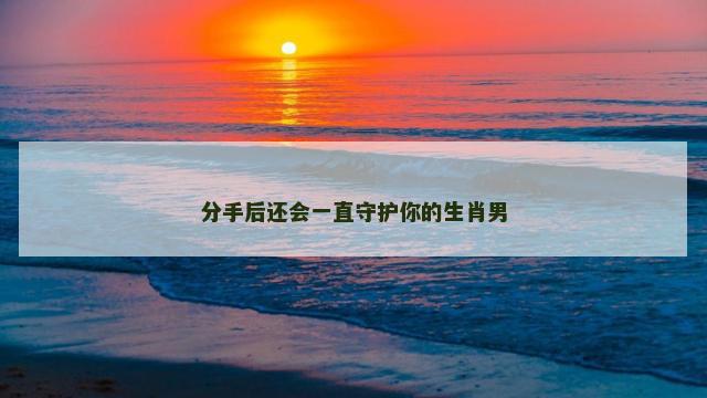 分手后还会一直守护你的生肖男