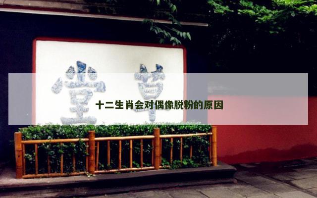 十二生肖会对偶像脱粉的原因