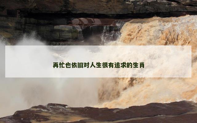 再忙也依旧对人生很有追求的生肖