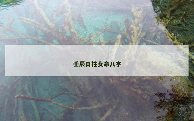 壬辰日柱女命八字