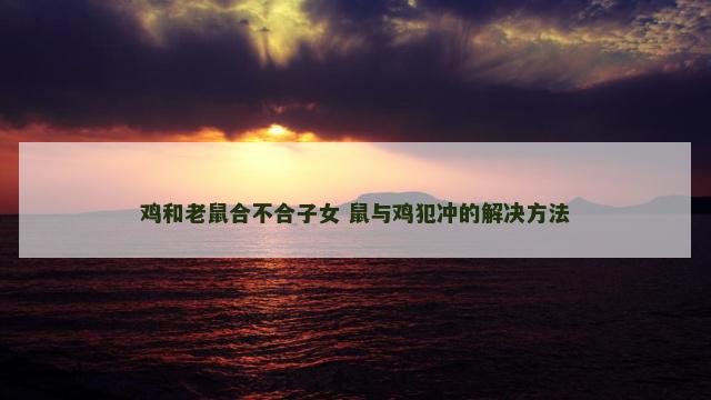 鸡和老鼠合不合子女 鼠与鸡犯冲的解决方法