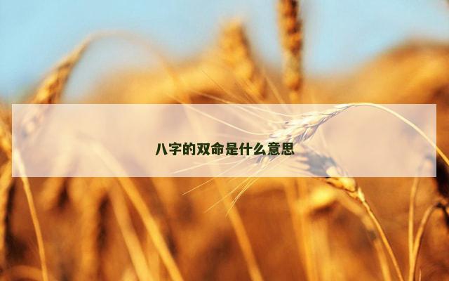 八字的双命是什么意思