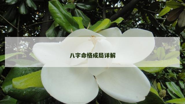 八字命格成局详解