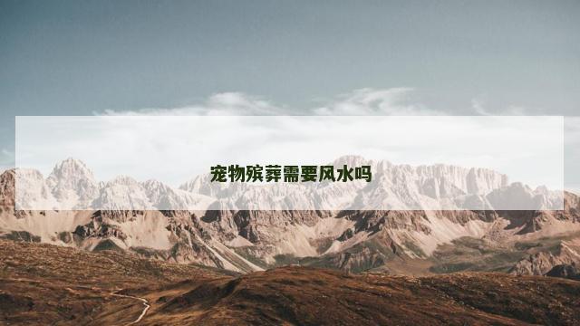 宠物殡葬需要风水吗