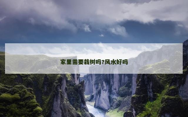 家里需要栽树吗?风水好吗