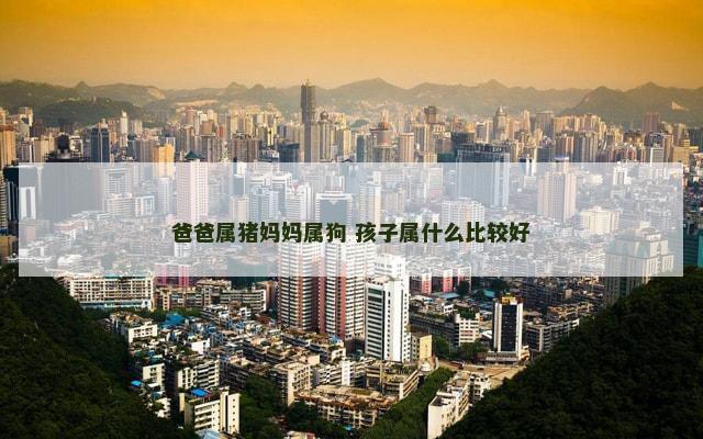 爸爸属猪妈妈属狗 孩子属什么比较好