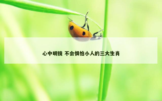 心中明镜 不会惧怕小人的三大生肖